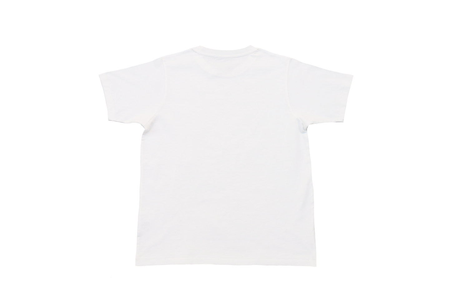 YOICHI OWASHI x ANYO PARLOR [ FRUIT OF THE LOOM collaboration pack T (2P)