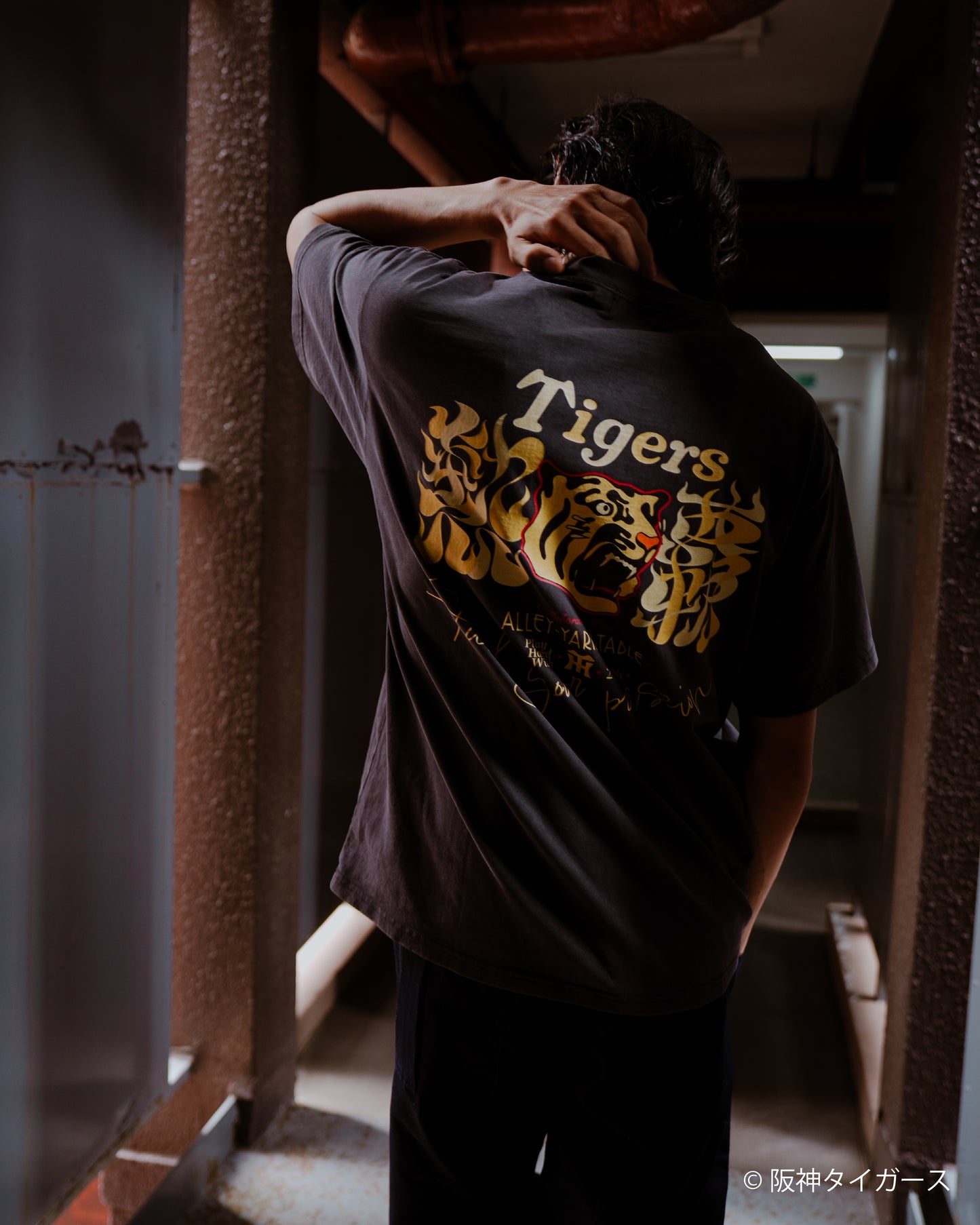 AYT x Hanshin tigers T-shirts Type【C】WASH