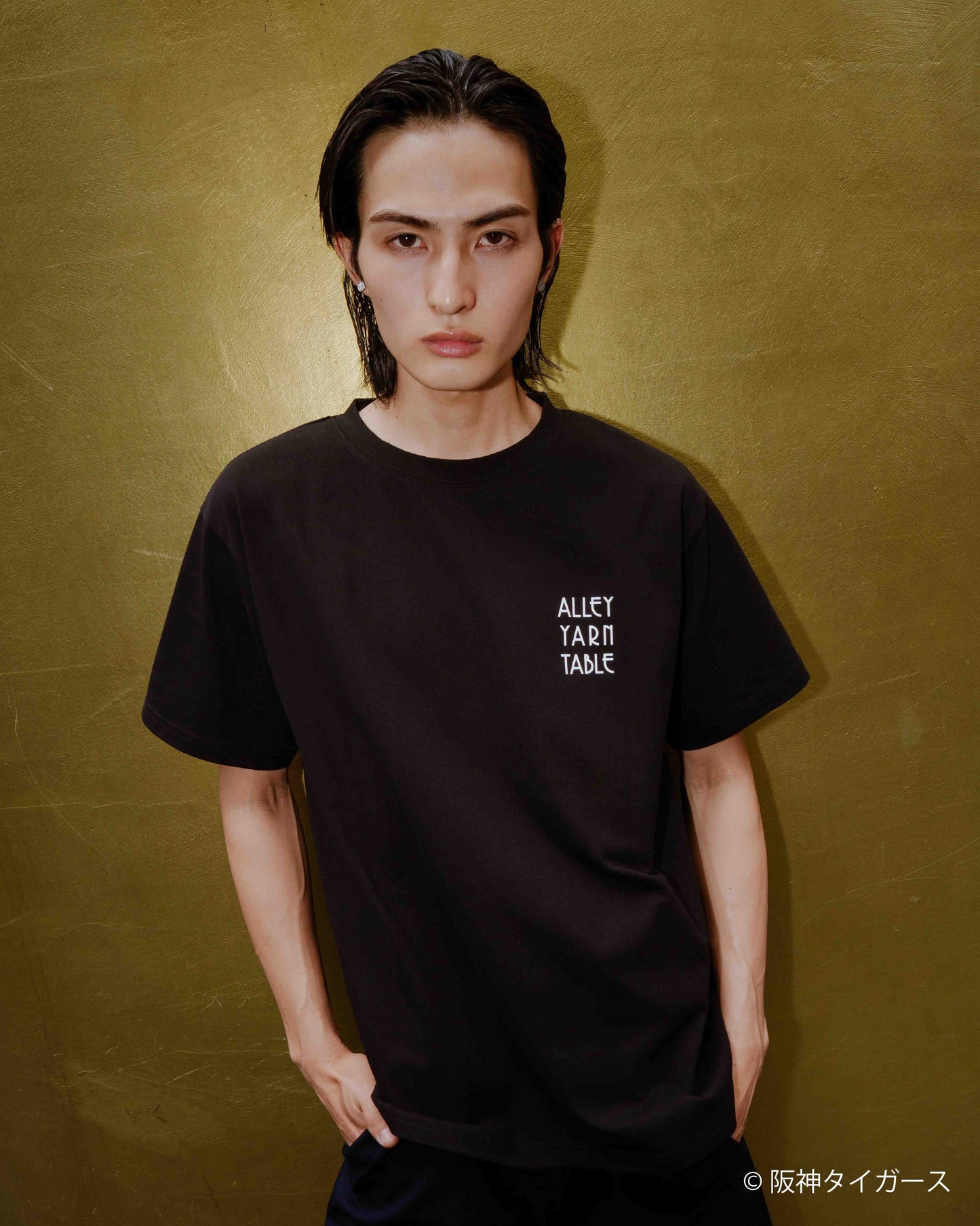 AYT x Hanshin tigers T-shirts Type【B】BLACK