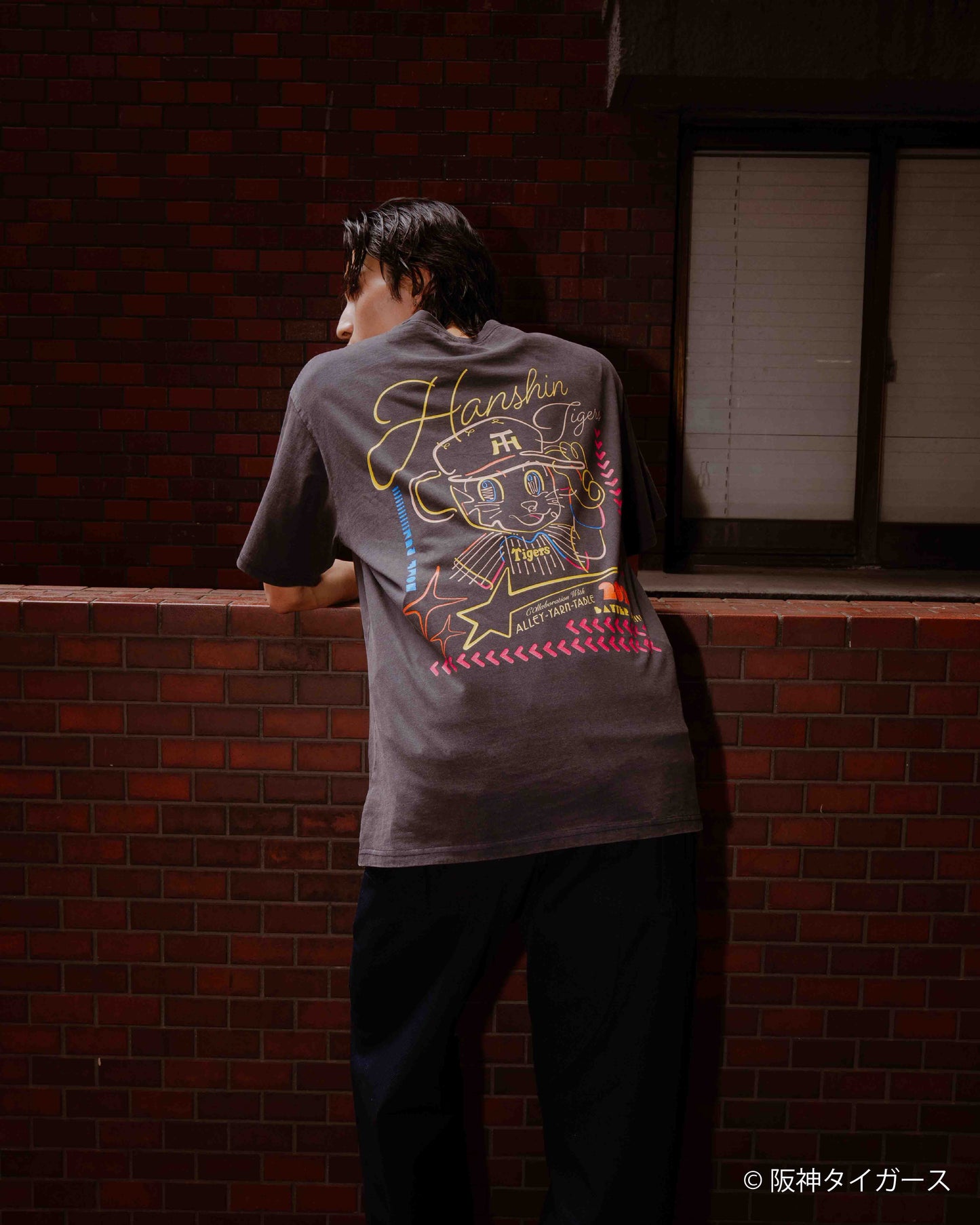 AYT x Hanshin tigers T-shirts Type【D】WASH